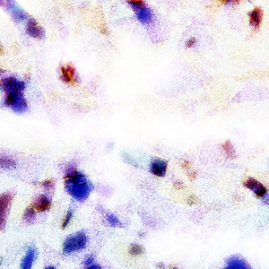 美女撒尿❌❌❌人妻熟女
